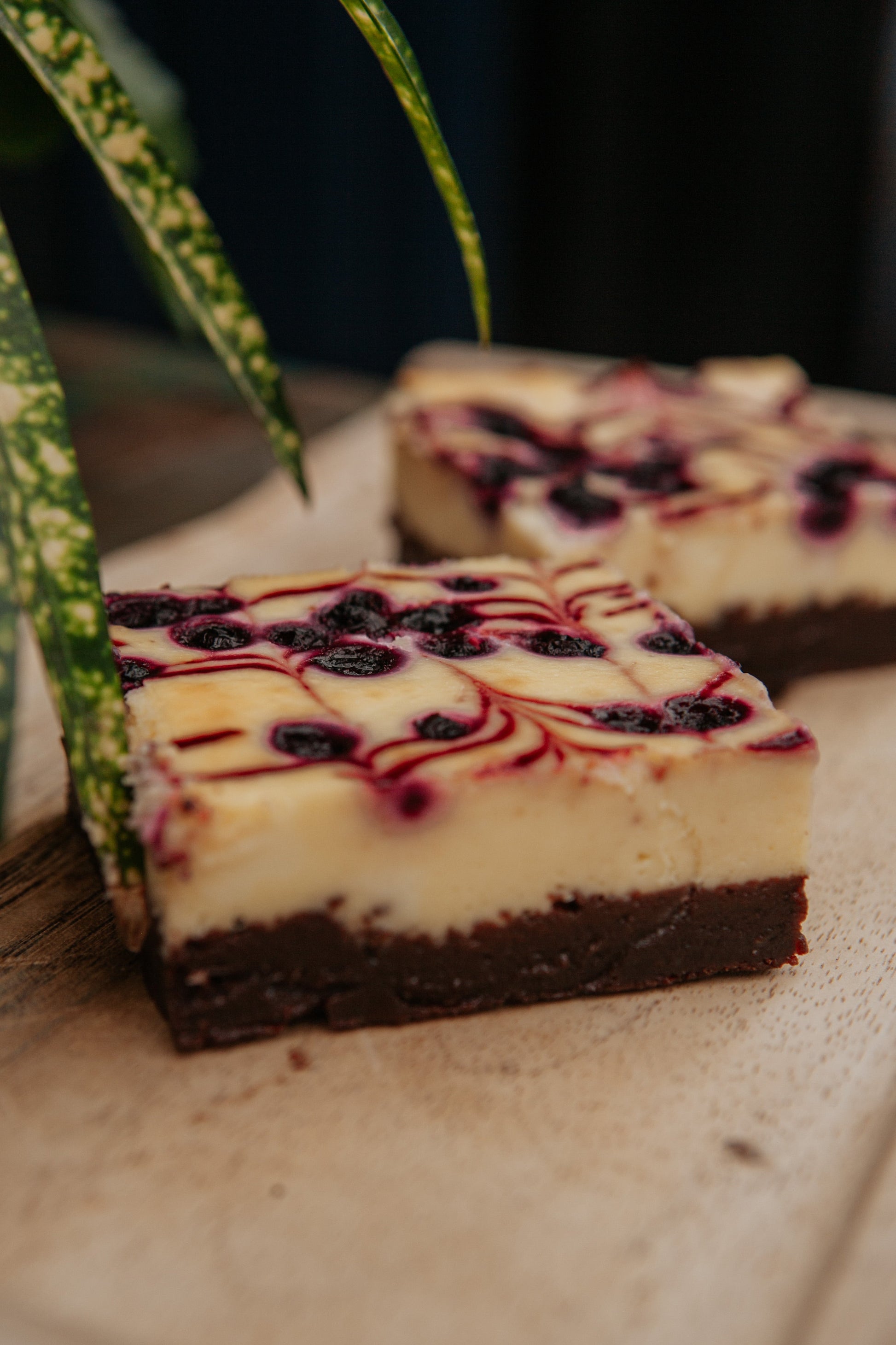 Blueberry Cheesecake Brownie